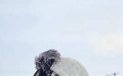 火影忍者同人h动漫